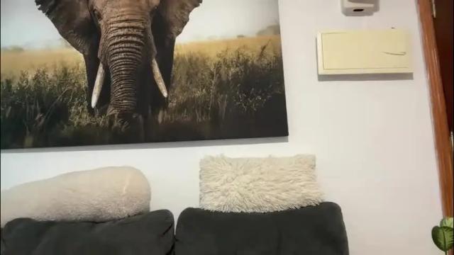 Image 11 of paolaflor Stream on Chaturbate on 2 months ago