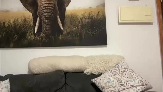 Image 2 of paolaflor Stream on Chaturbate on 1 month ago