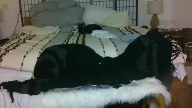 Image 4 of paradisevixen Stream on Chaturbate on 17 months ago