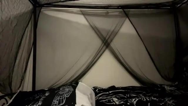 Image 10 of parsiox Stream on Chaturbate on 25 months ago