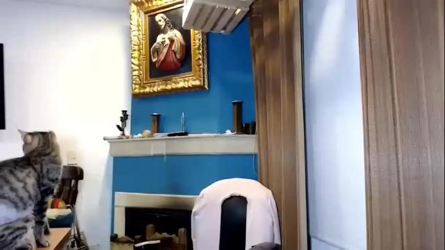 Image 10 of paula_anderson Stream on Chaturbate on 1 month ago