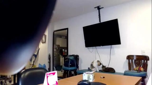 Image 6 of paula_anderson Stream on Chaturbate on 7 days ago