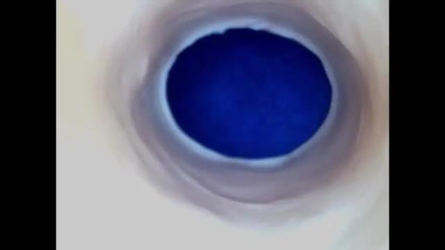 Image 11 of paulainoscente Stream on Chaturbate on 1 month ago