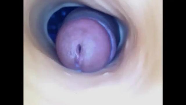 Image 12 of paulainoscente Stream on Chaturbate on 1 month ago