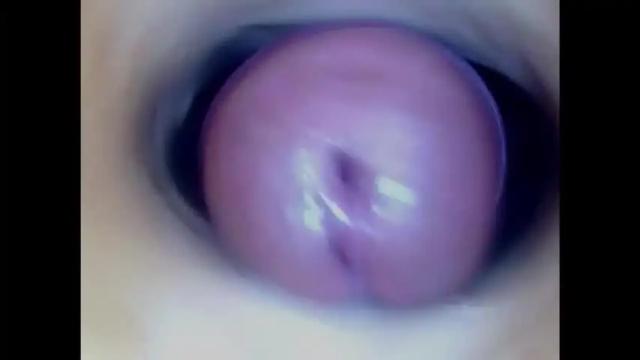 Image 2 of paulainoscente Stream on Chaturbate on 1 month ago