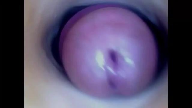 Image 3 of paulainoscente Stream on Chaturbate on 1 month ago