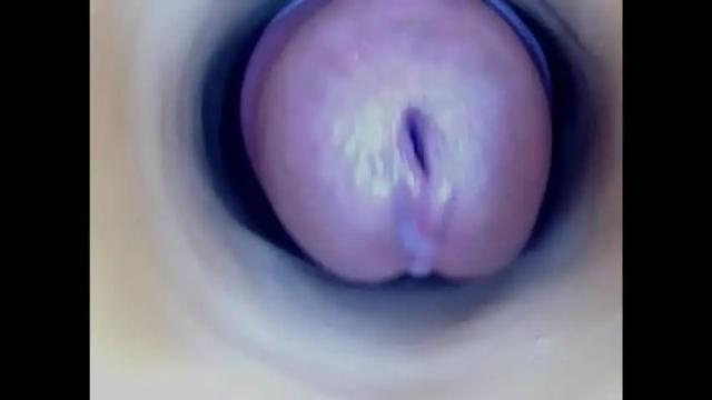 Image 12 of paulainoscente Stream on Chaturbate on 1 month ago
