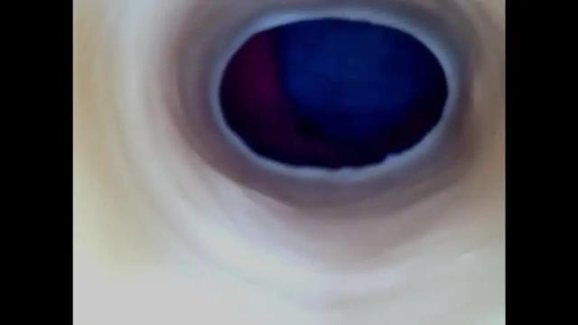 Image 4 of paulainoscente Stream on Chaturbate on 1 month ago