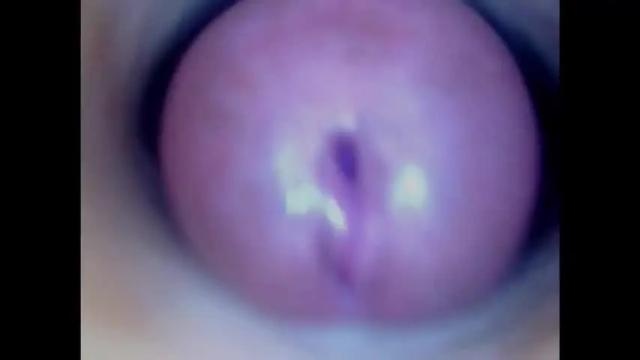 Image 10 of paulainoscente Stream on Chaturbate on 23 days ago