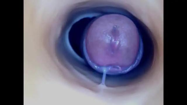 Image 2 of paulainoscente Stream on Chaturbate on 23 days ago