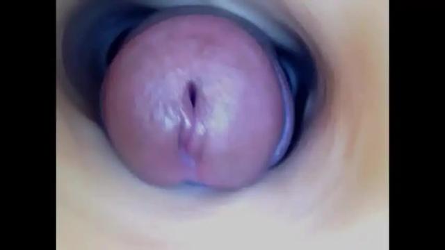 Image 2 of paulainoscente Stream on Chaturbate on 22 days ago