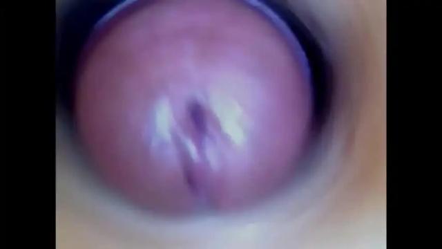 Image 3 of paulainoscente Stream on Chaturbate on 22 days ago