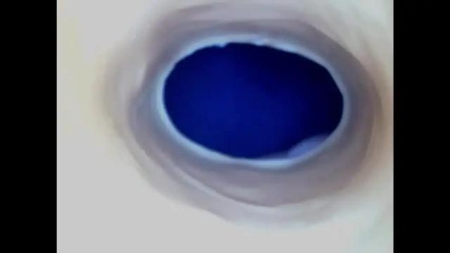 Thumbnail 1, paulainoscente's Stream at Chaturbate, 20 days ago
