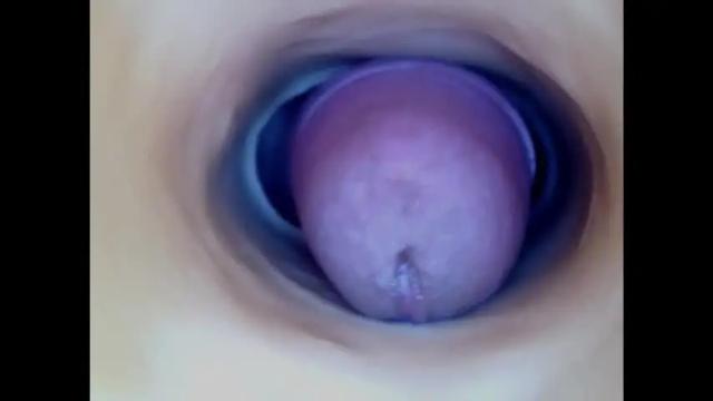 Image 10 of paulainoscente Stream on Chaturbate on 18 days ago