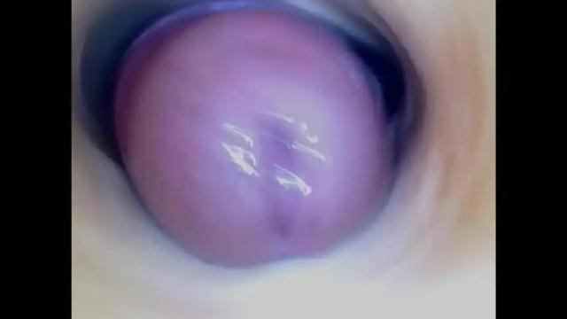 Image 7 of paulainoscente Stream on Chaturbate on 16 days ago
