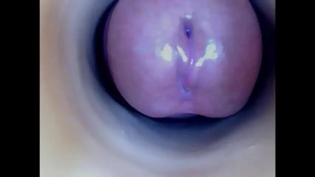 Image 11 of paulainoscente Stream on Chaturbate on 14 days ago