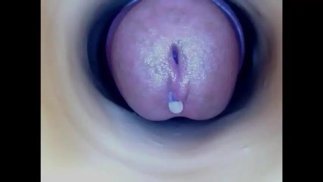 Image 7 of paulainoscente Stream on Chaturbate on 14 days ago