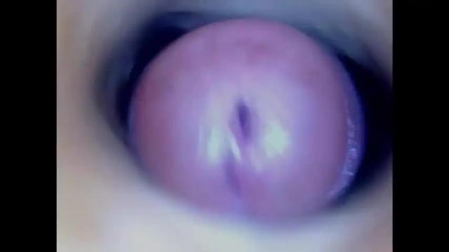 Image 8 of paulainoscente Stream on Chaturbate on 11 days ago