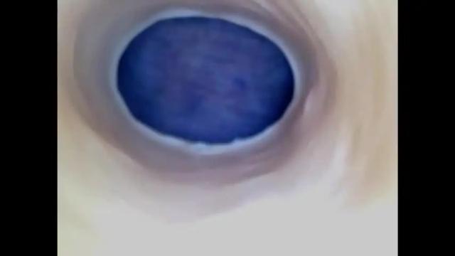 Image 6 of paulainoscente Stream on Chaturbate on 8 days ago