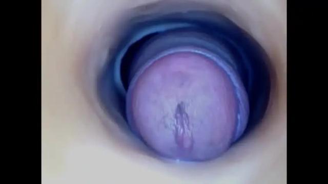 Image 10 of paulainoscente Stream on Chaturbate on 7 days ago