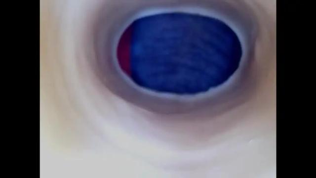 Image 10 of paulainoscente Stream on Chaturbate on 5 days ago