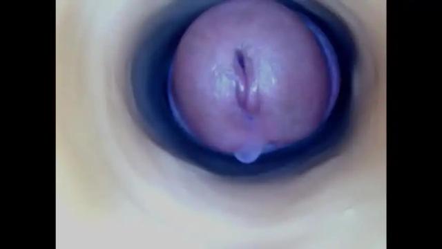Image 12 of paulainoscente Stream on Chaturbate on 5 days ago