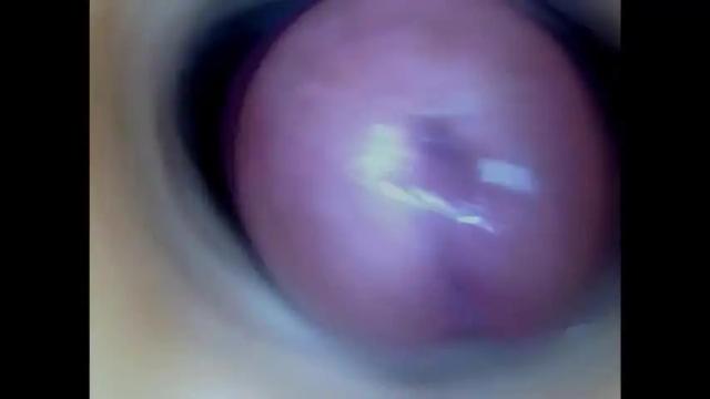 Image 3 of paulainoscente Stream on Chaturbate on 3 days ago