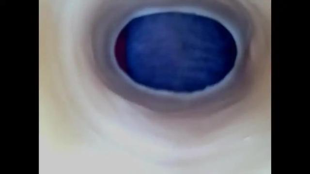 Image 4 of paulainoscente Stream on Chaturbate on 1 month ago