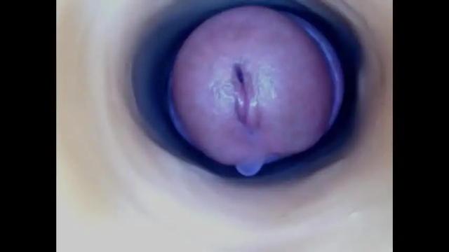 Image 6 of paulainoscente Stream on Chaturbate on 1 month ago