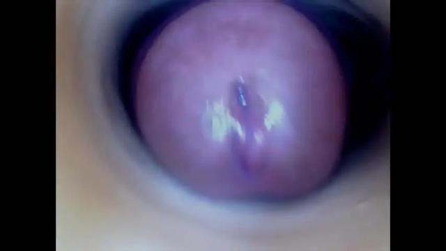 Image 8 of paulainoscente Stream on Chaturbate on 1 month ago