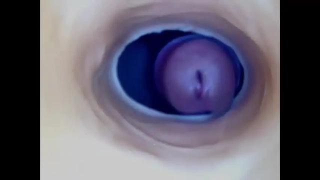 Image 8 of paulainoscente Stream on Chaturbate on 1 month ago