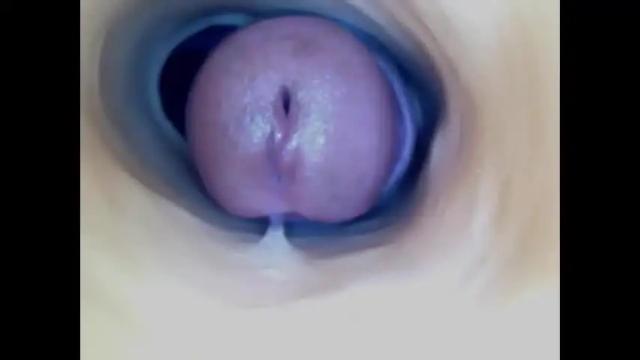 Image 3 of paulainoscente Stream on Chaturbate on 24 days ago