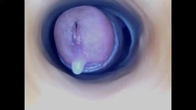 Image 8 of paulainoscente Stream on Chaturbate on 21 days ago