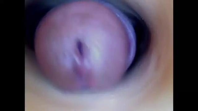 Image 12 of paulainoscente Stream on Chaturbate on 14 days ago