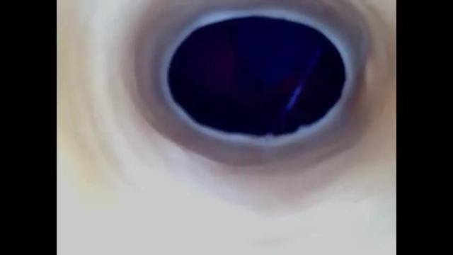 Image 4 of paulainoscente Stream on Chaturbate on 12 days ago