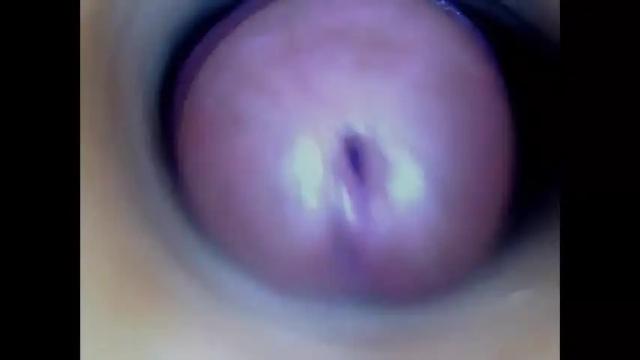 Image 8 of paulainoscente Stream on Chaturbate on 12 days ago