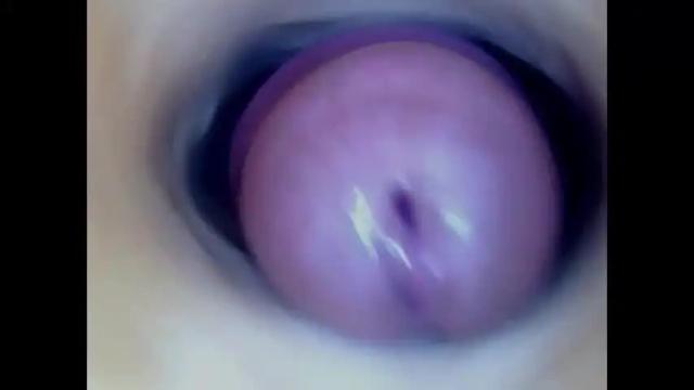 Image 4 of paulainoscente Stream on Chaturbate on 10 days ago