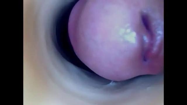 Image 6 of paulainoscente Stream on Chaturbate on 3 days ago