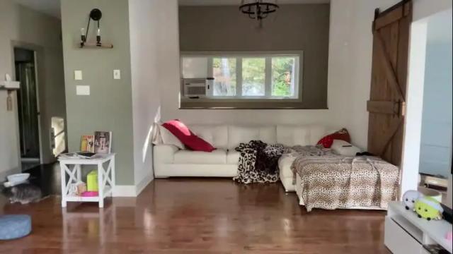 Image 2 of paulilafay Stream on Chaturbate on 4 months ago