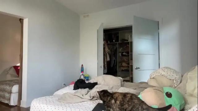 Image 4 of paulilafay Stream on Chaturbate on 4 months ago