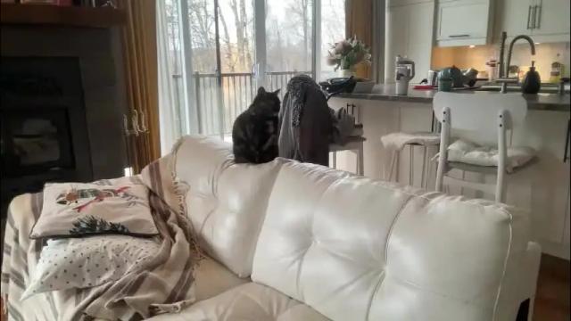 Image 6 of paulilafay Stream on Chaturbate on 2 months ago