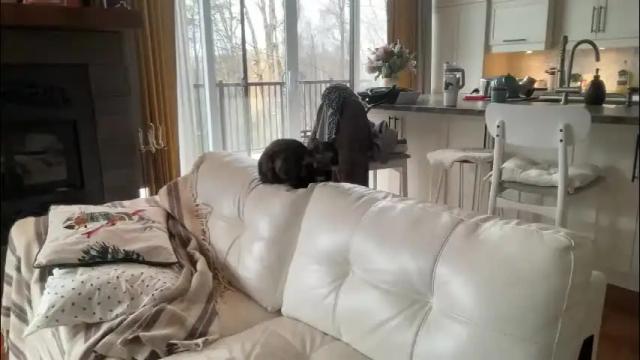 Image 7 of paulilafay Stream on Chaturbate on 2 months ago