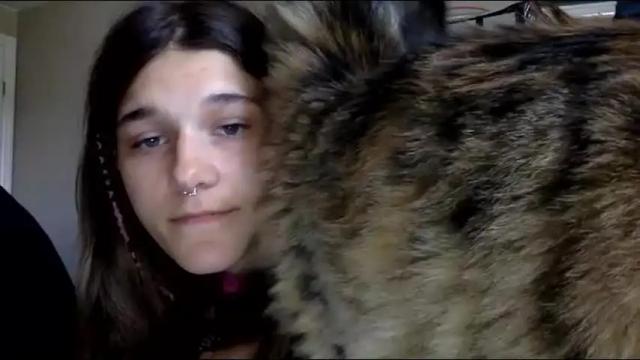 Thumbnail 3, penutbuttajelllytime's Stream at Chaturbate, 3 months ago