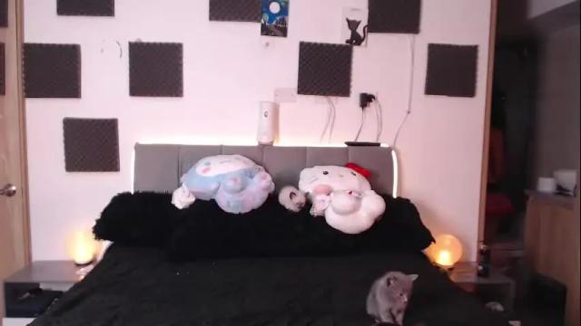 Image 3 of perceo09 Stream on Chaturbate on 1 month ago