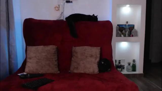 Image 4 of perceo09 Stream on Chaturbate on 4 months ago