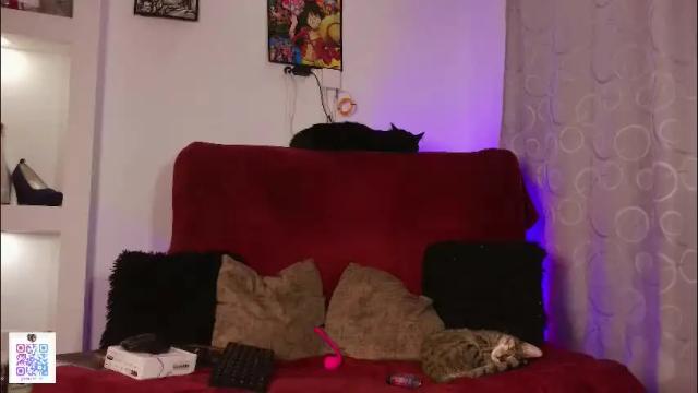 Image 12 of perceo09 Stream on Chaturbate on 4 months ago