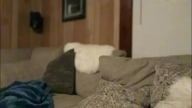 Image 8 of perfectnips742 Stream on Chaturbate on 1 month ago