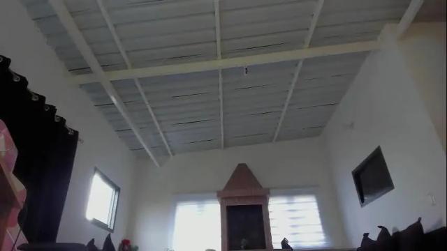 Image 11 of persefone_saira Stream on Chaturbate on 1 month ago