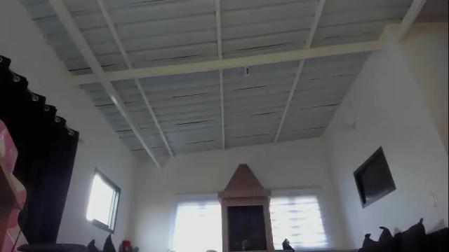 Image 12 of persefone_saira Stream on Chaturbate on 1 month ago
