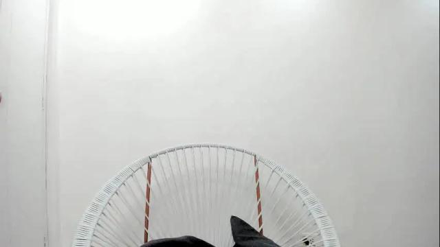 Image 10 of petitealejats Stream on Chaturbate on 2 months ago